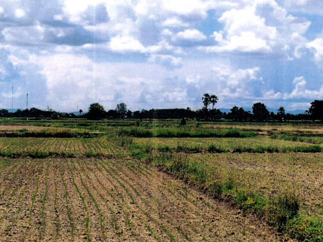 ที่ดินเปล่า ลำปาง แม่ทะ นาครัว 47500