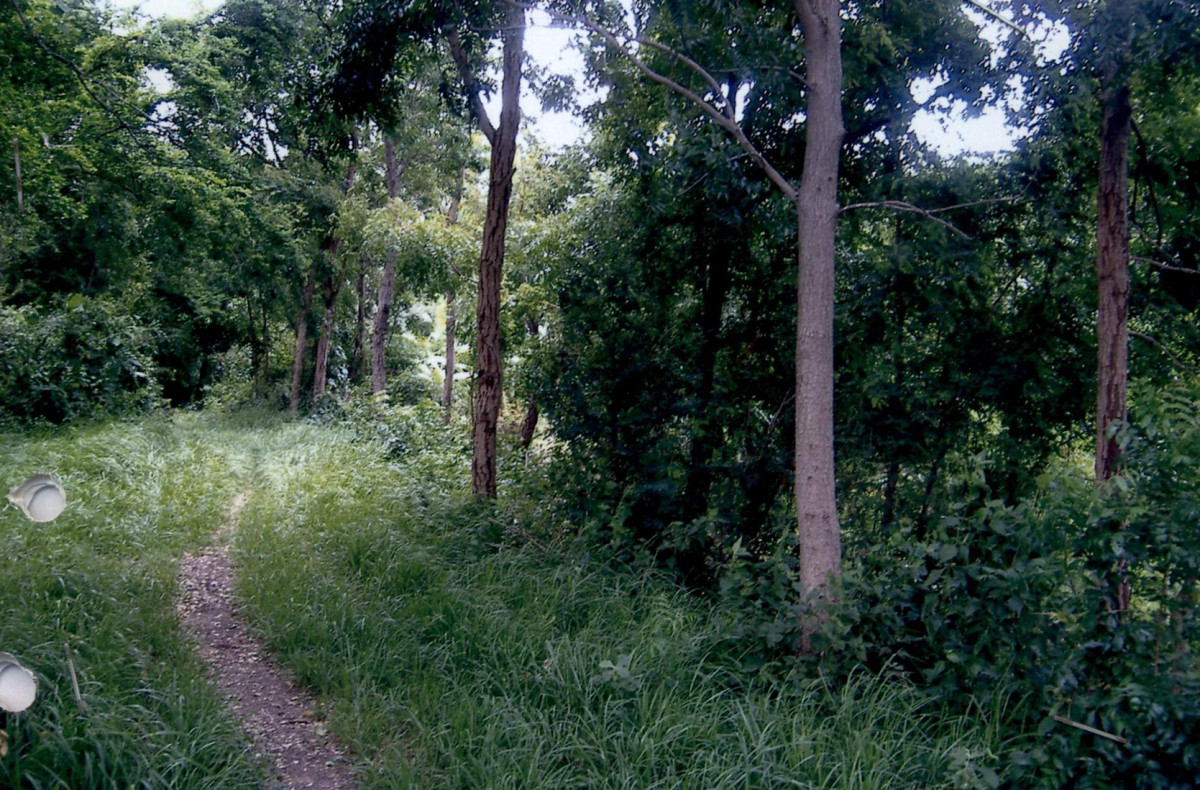 ที่ดินเปล่า ลพบุรี โคกสำโรง ดงมะรุม 56000