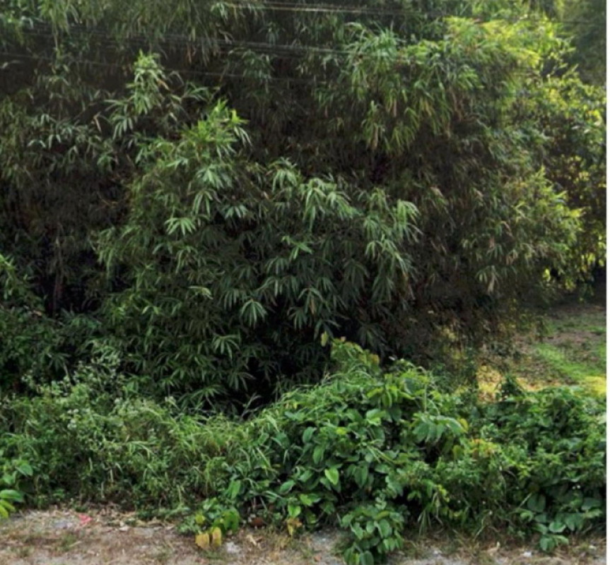 ที่ดินเปล่า นครนายก เมืองนครนายก เขาพระ 91800