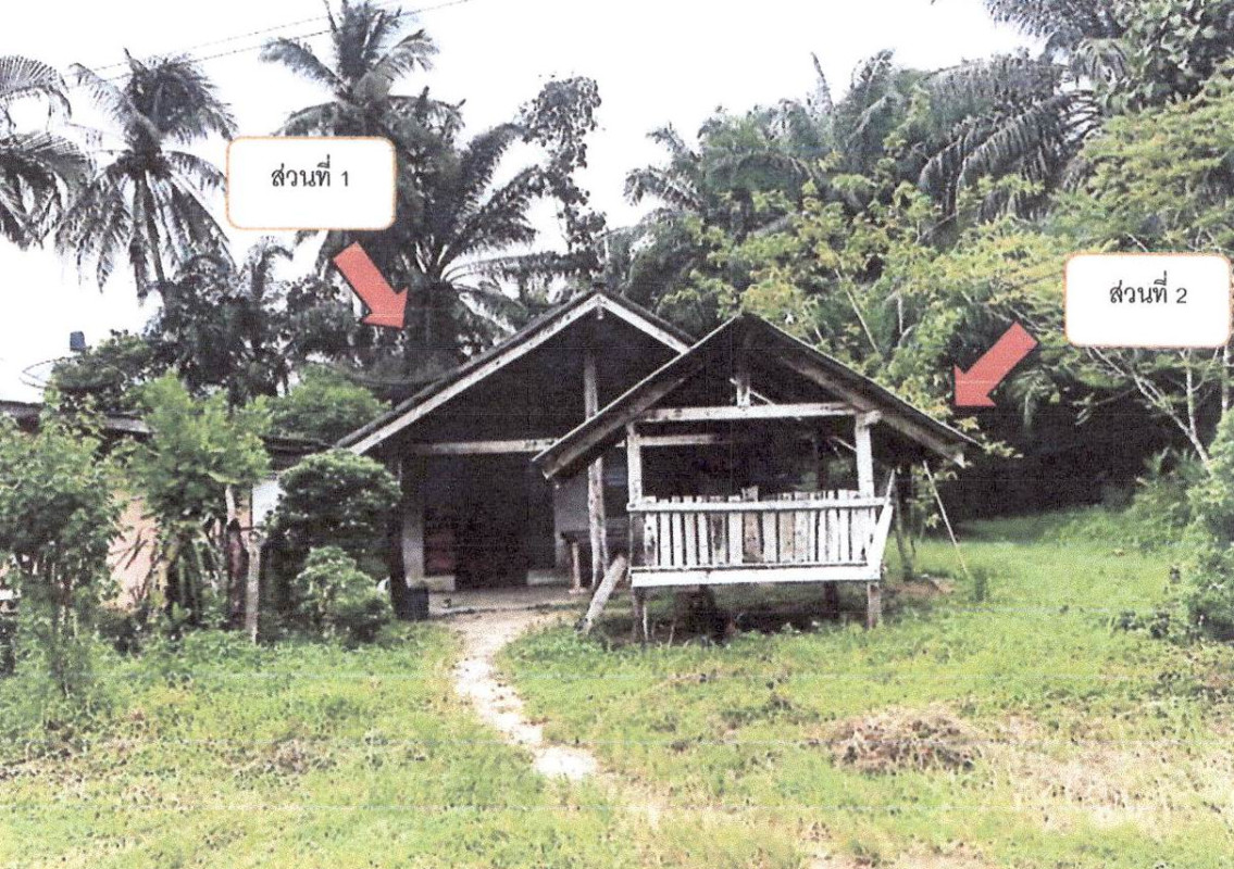 บ้านเดี่ยว กระบี่ คลองท่อม คลองท่อมใต้ 389000