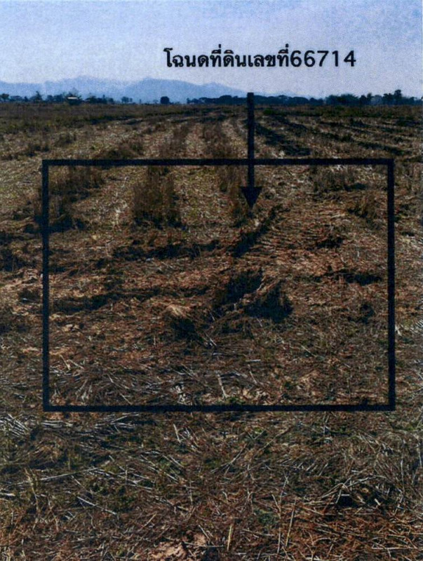 ที่ดินเปล่า ลำปาง แม่ทะ น้ำโจ้ 154950