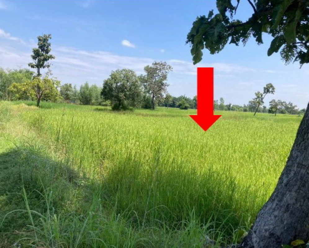 ที่ดินเปล่า อุบลราชธานี นาเยีย นาเรือง 79000