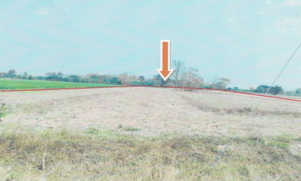 ที่ดินเปล่า เชียงราย ขุนตาล ต้า 439660