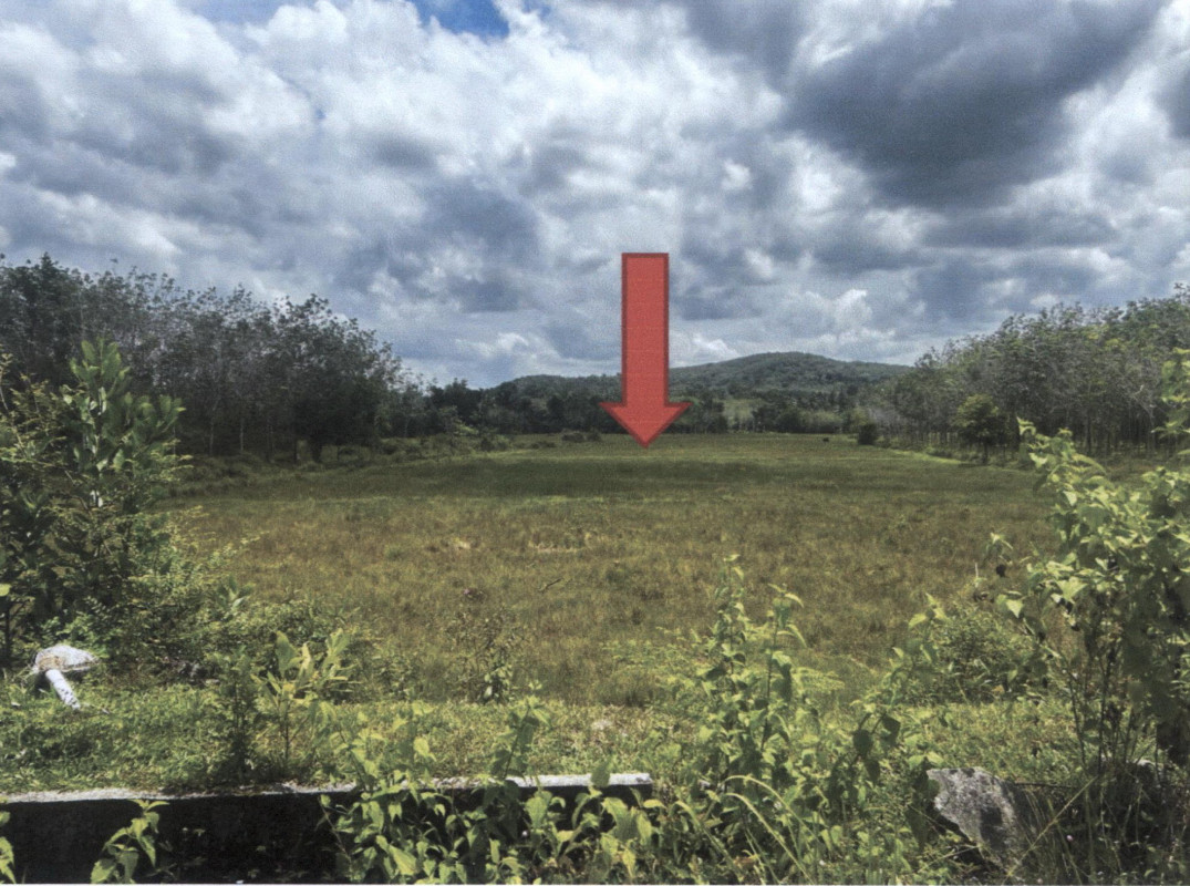 ที่ดินเปล่า สงขลา เทพา ท่าม่วง 605400