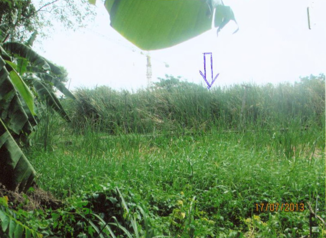 ที่ดินเปล่า นนทบุรี ปากเกร็ด บ้านใหม่ 736000