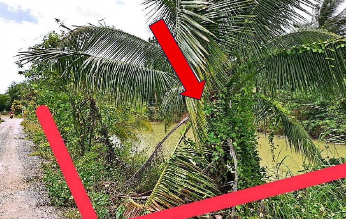 ที่ดินเปล่า นครราชสีมา ปากช่อง วังไทร 52200