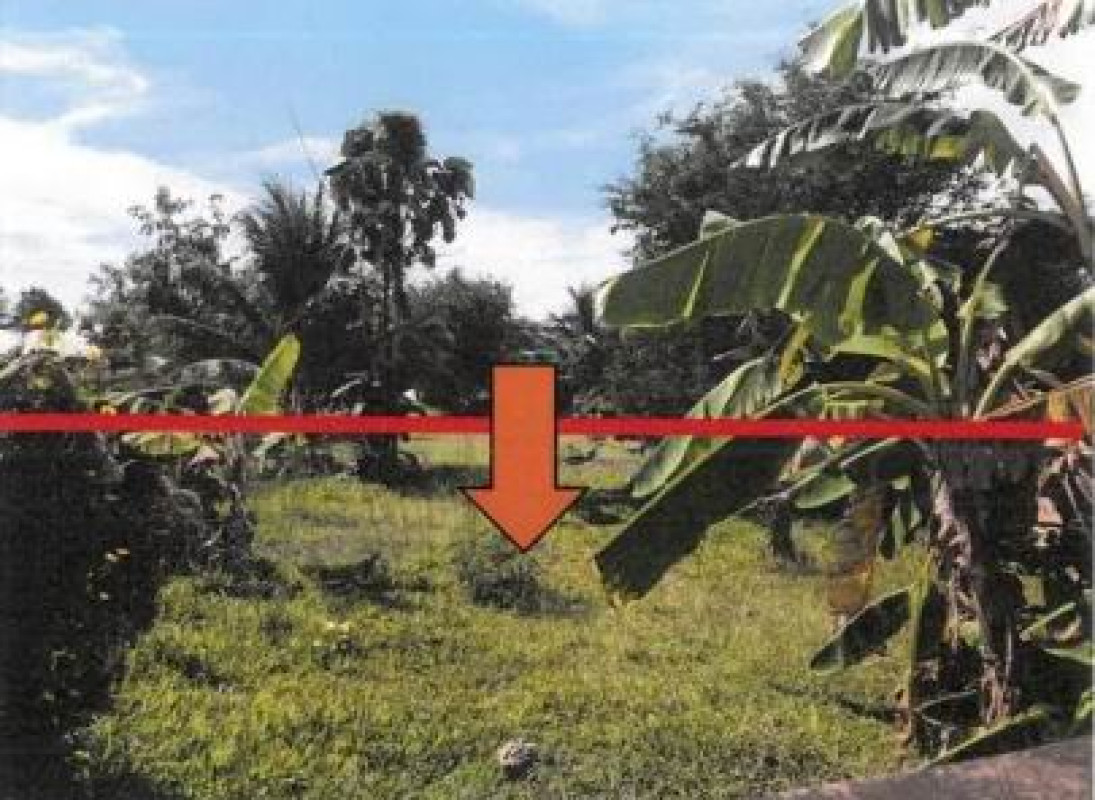 ที่ดินเปล่า ร้อยเอ็ด โพธิ์ชัย ขามเปี้ย 550000