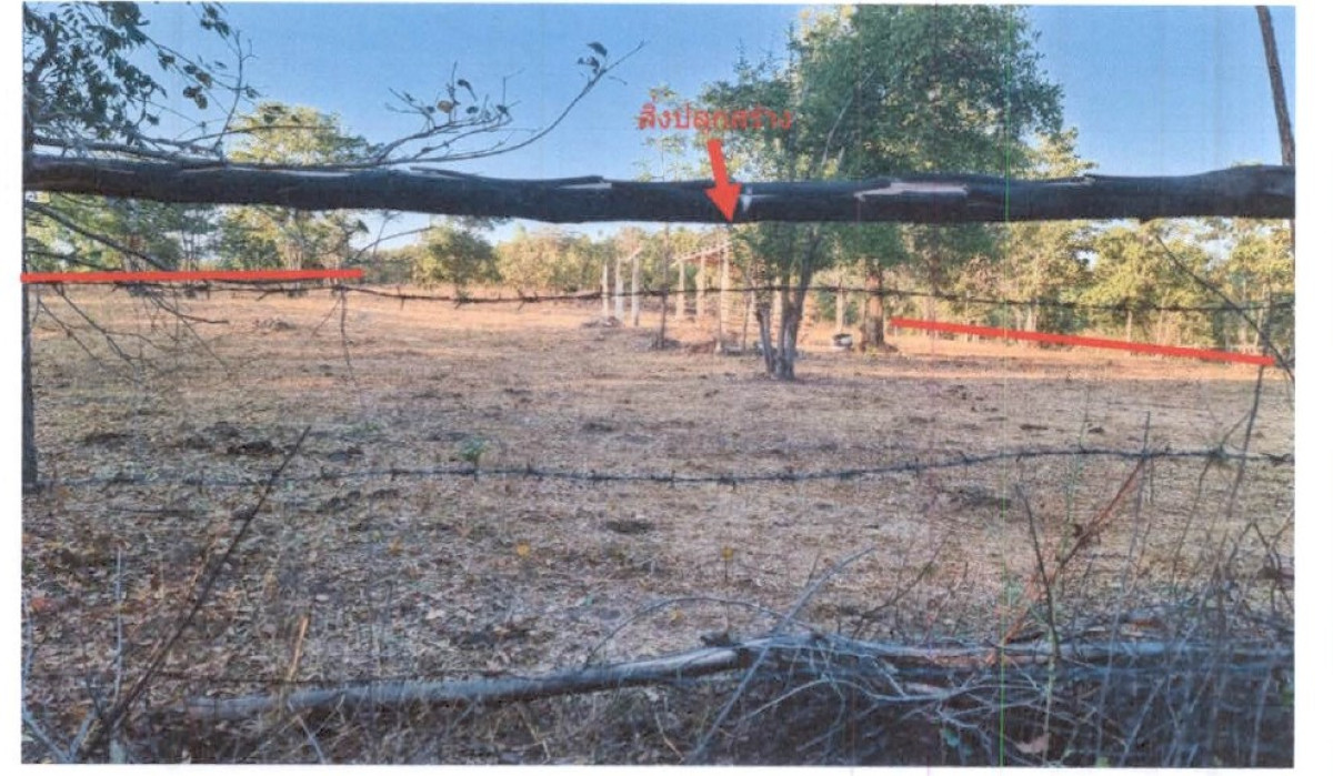 บ้านเดี่ยว ตาก บ้านตาก ท้องฟ้า 1638870