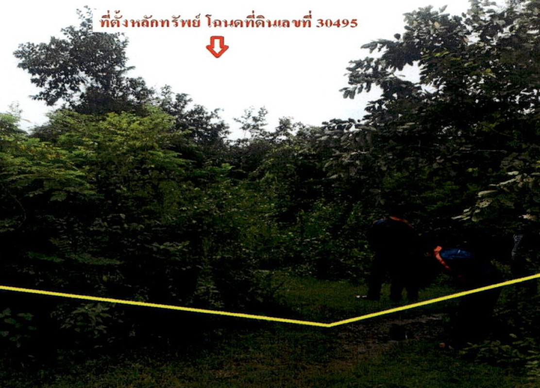 ที่ดินเปล่า ลำปาง เถิน ล้อมแรด 137800