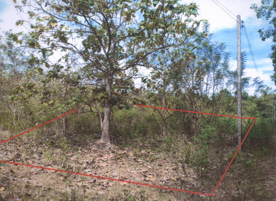 ที่ดินเปล่า อุบลราชธานี เมืองอุบลราชธานี ขี้เหล็ก 50000