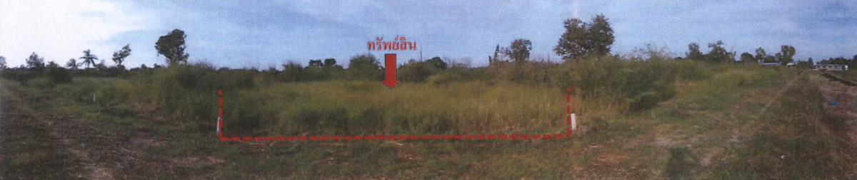 ที่ดินเปล่า ปทุมธานี หนองเสือ บึงกาสาม 150000