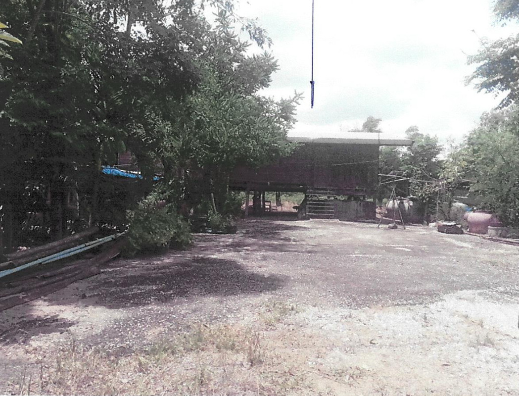 บ้านเดี่ยว ชัยนาท หันคา เด่นใหญ่ 746845