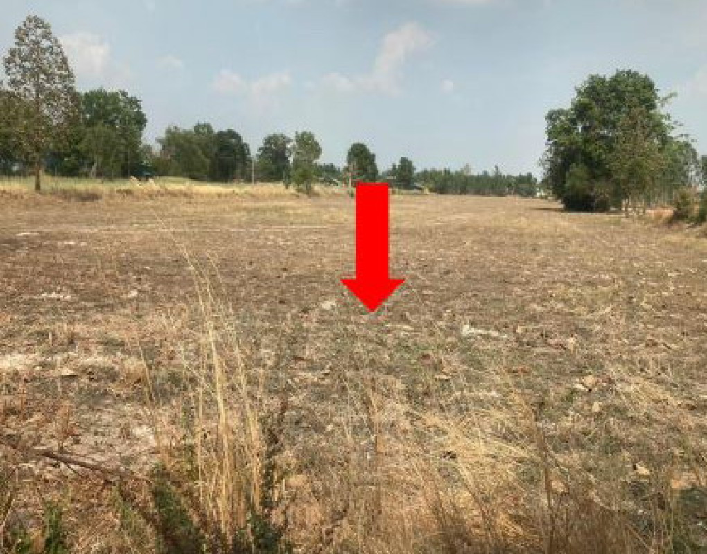 ที่ดินเปล่า อุบลราชธานี ทุ่งศรีอุดม หนองอ้ม 430120