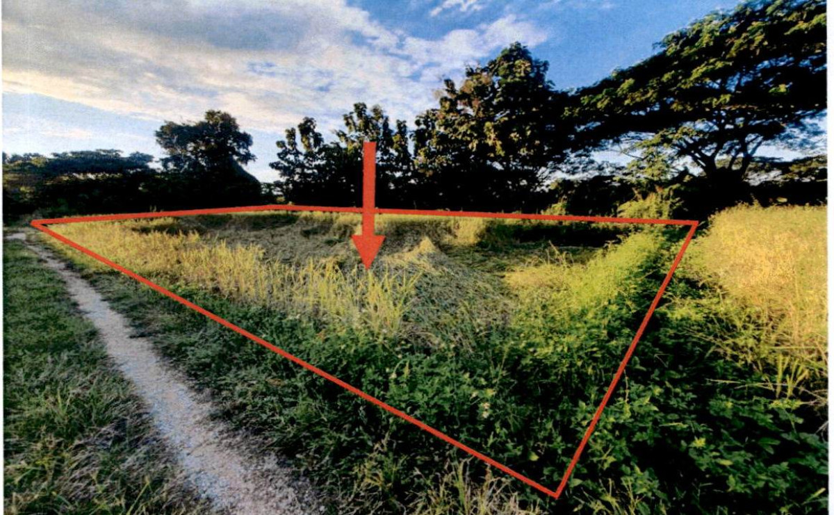 ที่ดินเปล่า ลำปาง แม่ทะ ดอนไฟ 29400