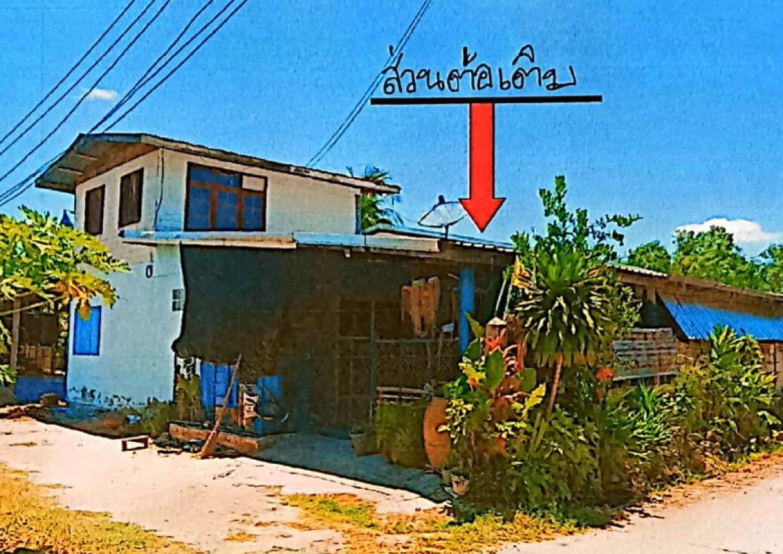 บ้านเดี่ยว นครราชสีมา พิมาย หนองระเวียง 327375