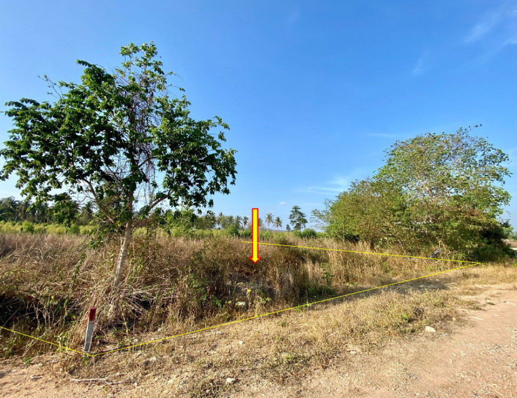 ที่ดินเปล่า นครนายก องครักษ์ ศีรษะกระบือ 50000