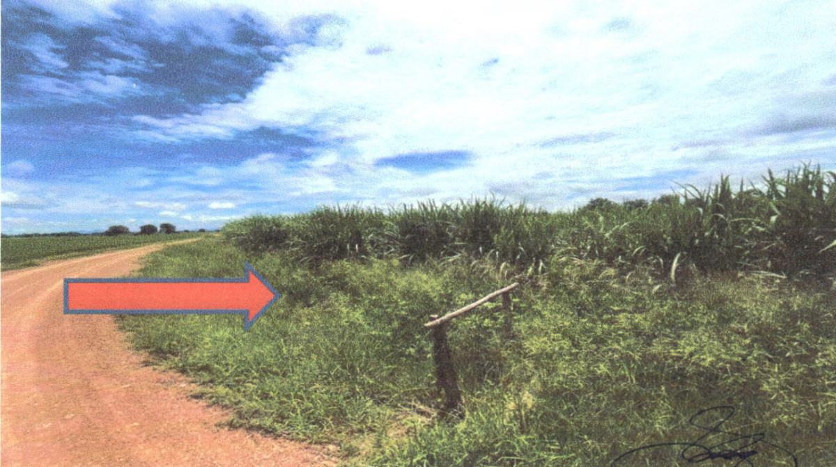 ที่ดินเปล่า อุตรดิตถ์ พิชัย คอรุม 605880