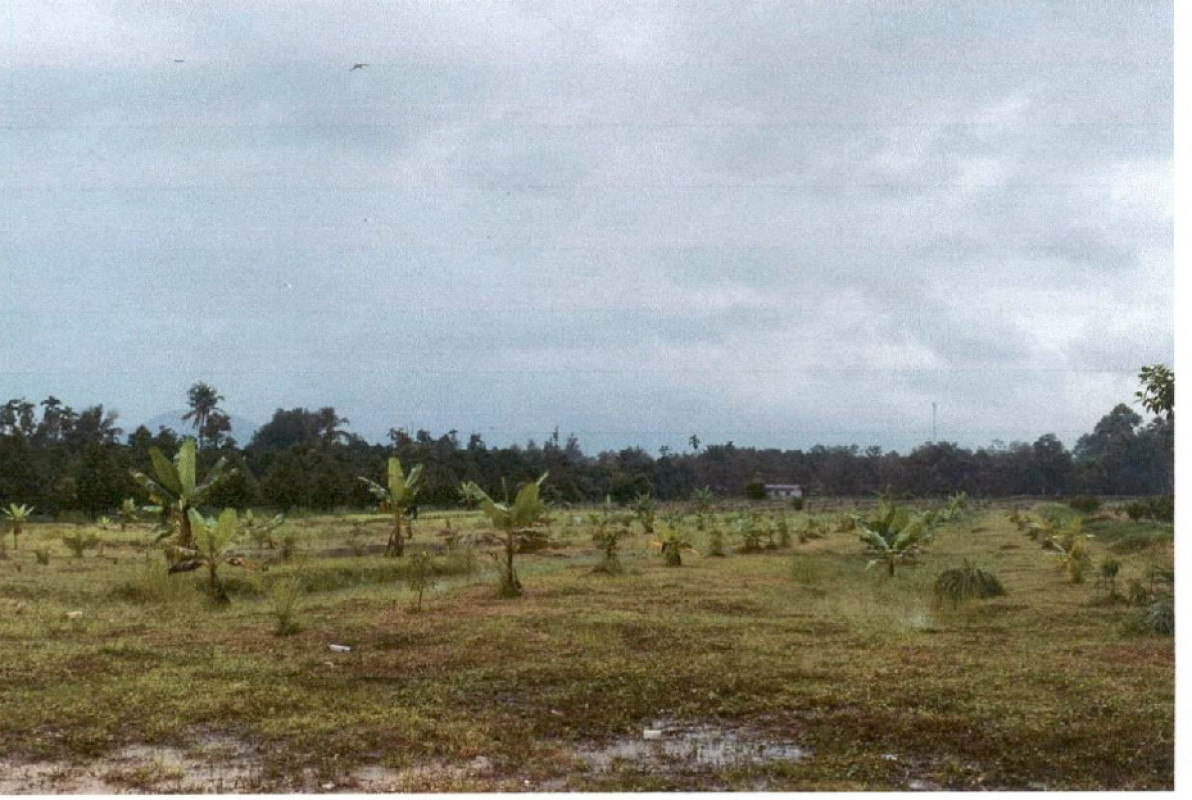 ที่ดินเปล่า ชุมพร ทุ่งตะโก ตะโก 1511900