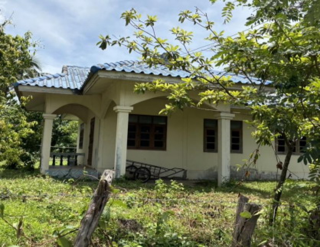 บ้านเดี่ยว อุบลราชธานี ม่วงสามสิบ หนองช้างใหญ่ 919740