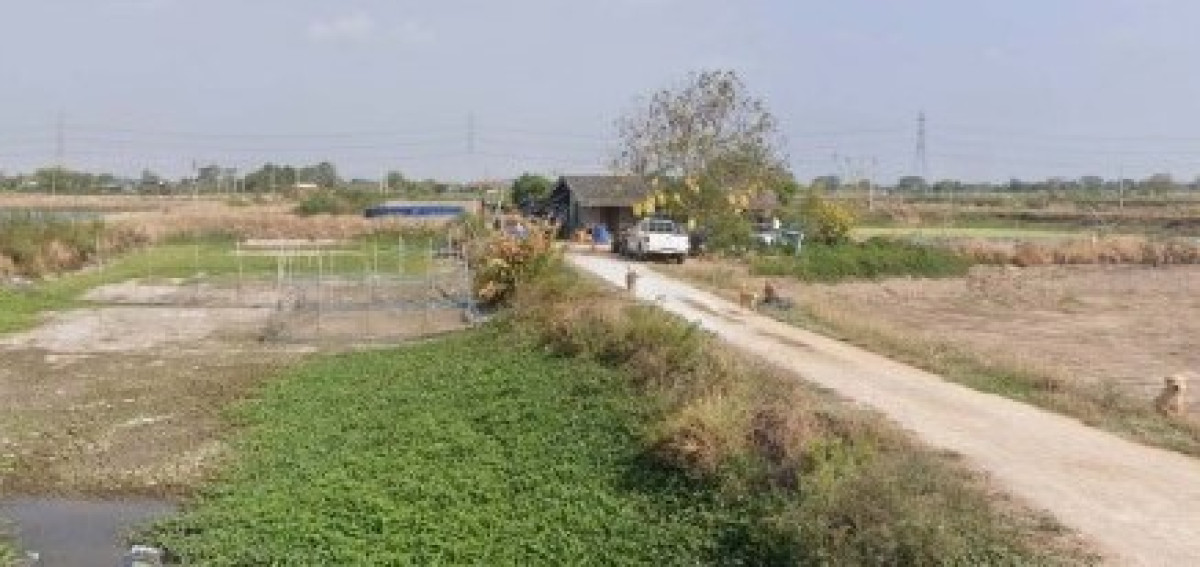 บ้านเดี่ยว ฉะเชิงเทรา บ้านโพธิ์ หนองตีนนก 960875