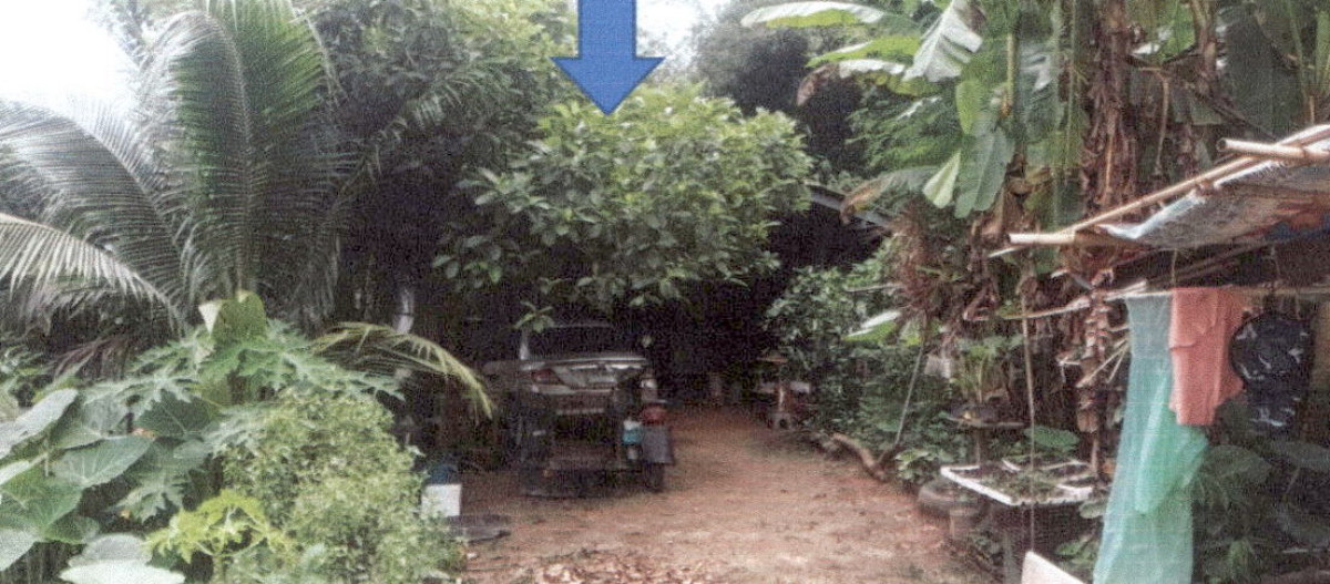 บ้านเดี่ยว กระบี่ อ่าวลึก อ่าวลึกเหนือ 1232250