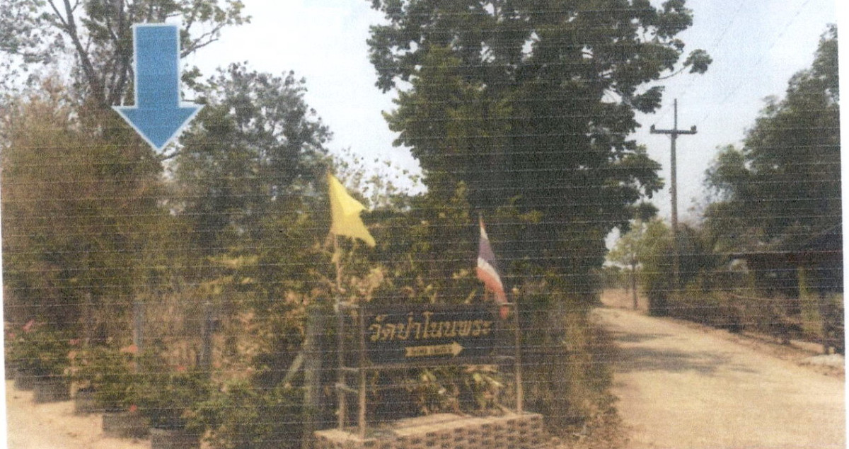 บ้านเดี่ยว กาฬสินธุ์ ยางตลาด อิตื้อ 350000