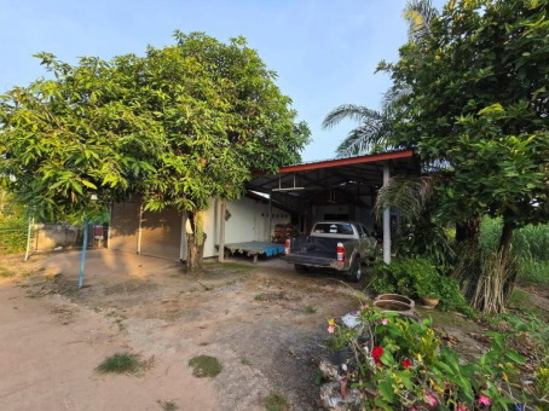 บ้านเดี่ยว กาฬสินธุ์ สามชัย สำราญ 622000