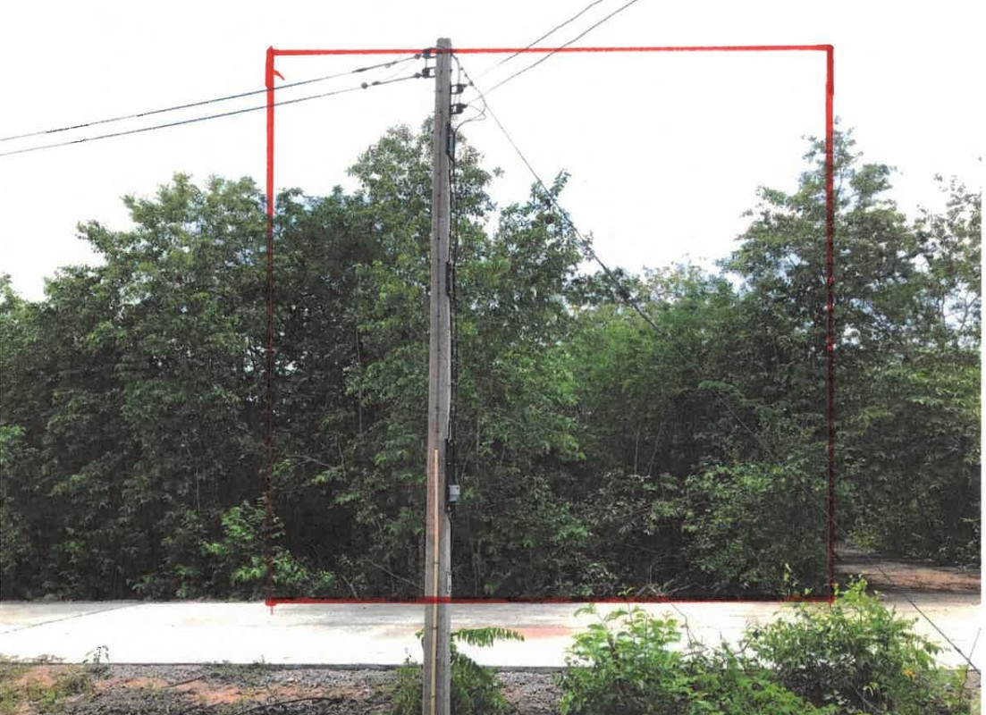 ที่ดินเปล่า นครราชสีมา ขามทะเลสอ บึงอ้อ 56000