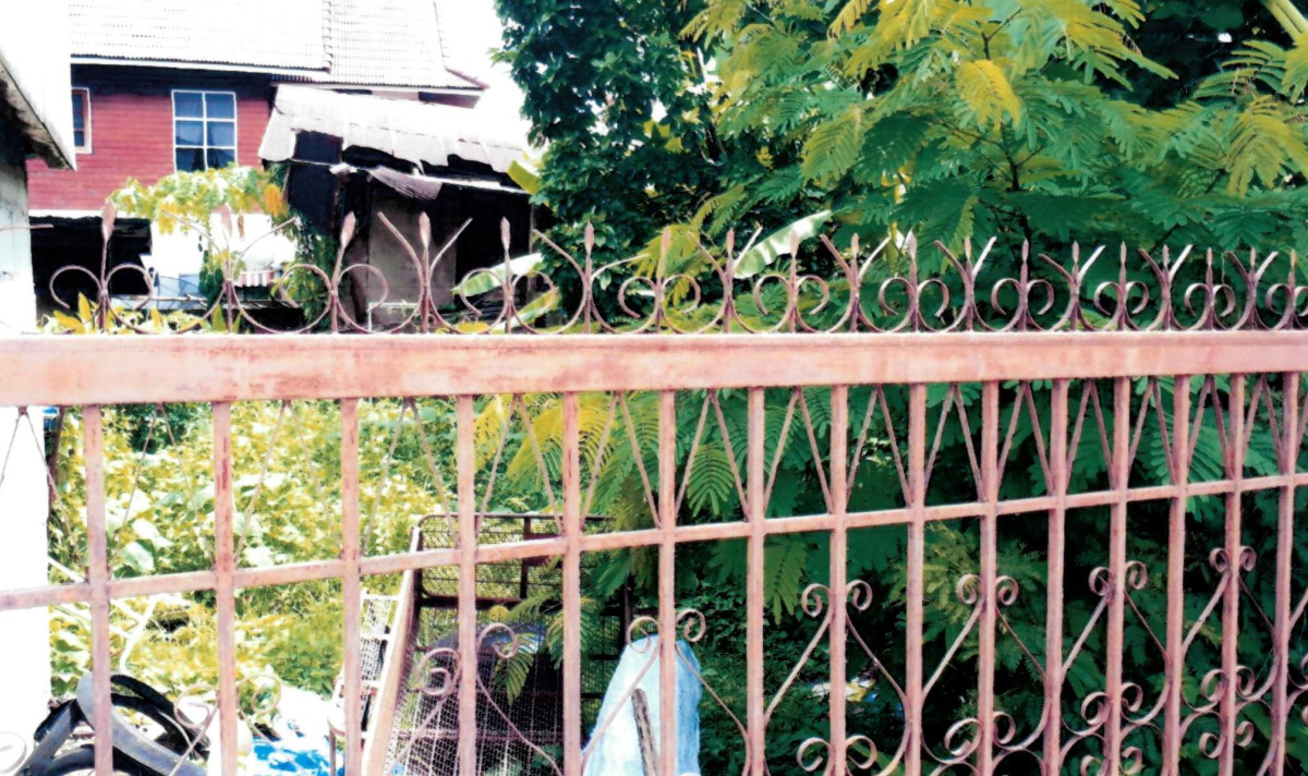 ที่ดินเปล่า เชียงราย เชียงของ เวียง 199500