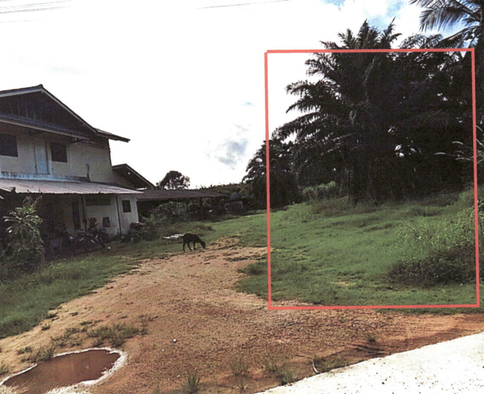 ที่ดินเปล่า สงขลา จะนะ คู 77900