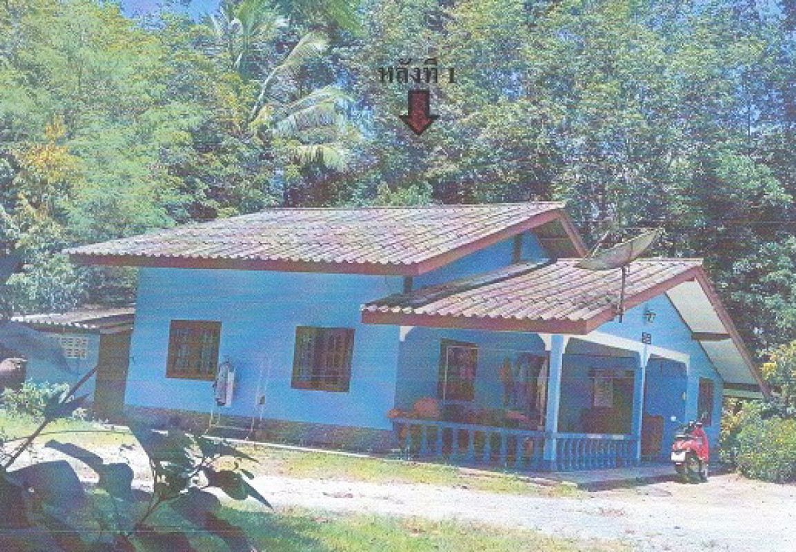 บ้านเดี่ยว นครศรีธรรมราช ทุ่งสง หนองหงส์ 4387440