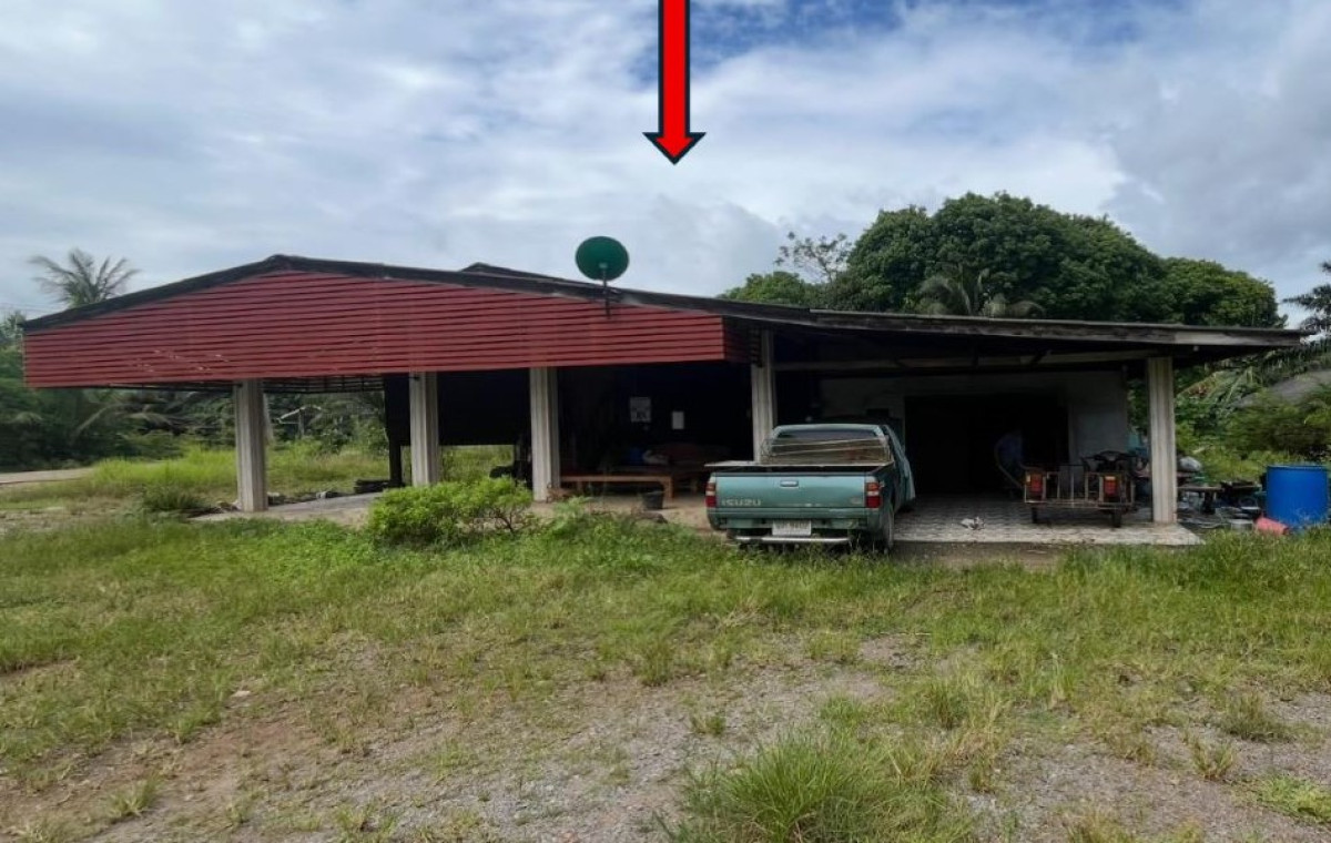 บ้านเดี่ยว สุราษฎร์ธานี ท่าฉาง คลองไทร 653840