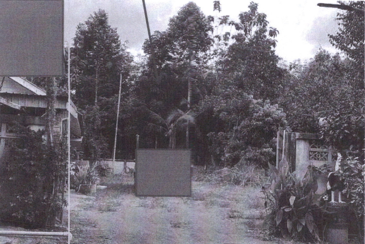 ที่ดินเปล่า นครศรีธรรมราช นาบอน นาบอน 1155100