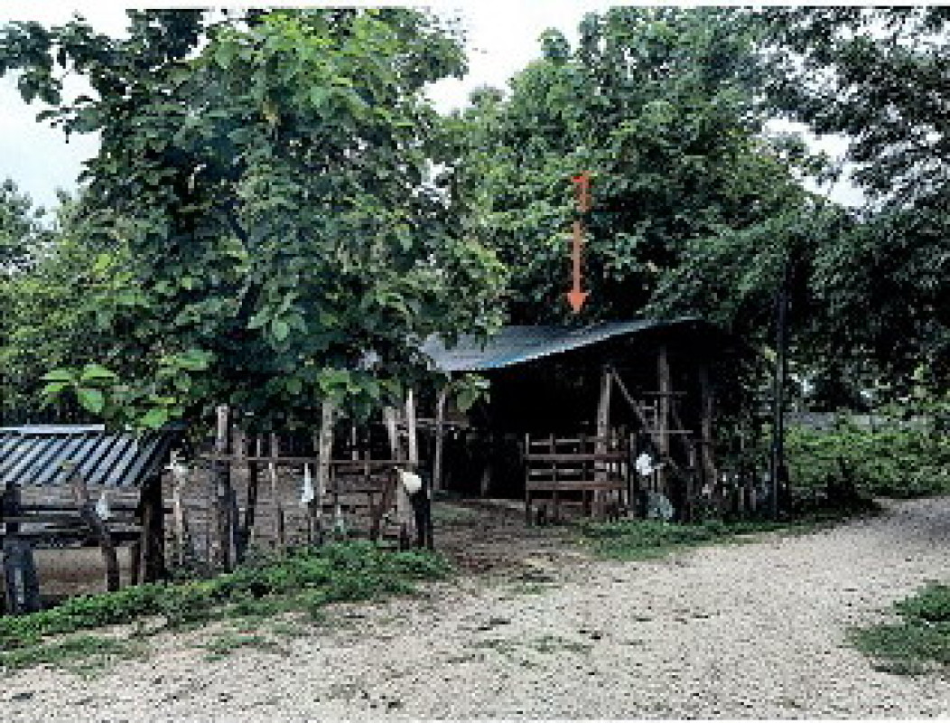 บ้านเดี่ยว ลำปาง แม่ทะ ป่าตัน 396770