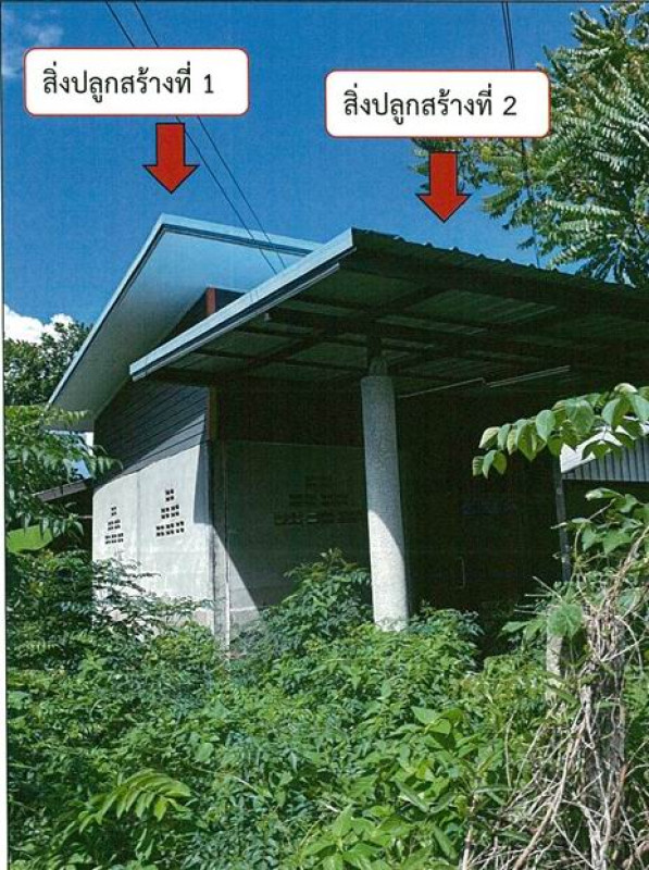 บ้านเดี่ยว อุบลราชธานี เขื่องใน บ้านไทย 469287