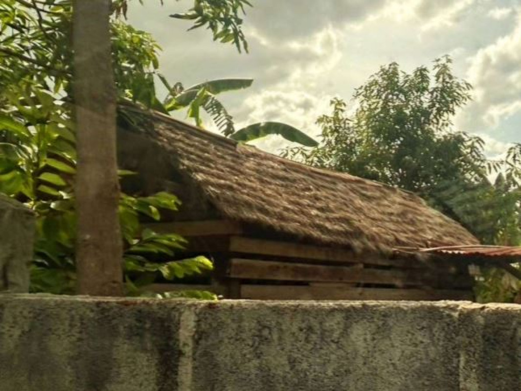 ทาวน์เฮ้าส์ ขอนแก่น บ้านฝาง หนองบัว 44140