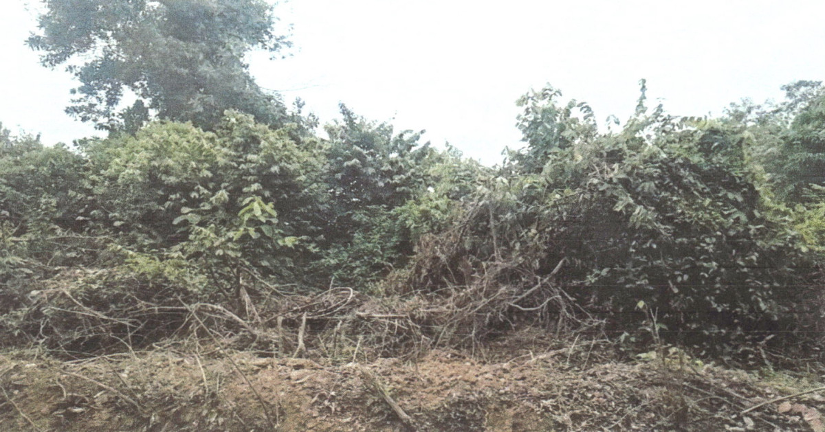 ที่ดินเปล่า สงขลา จะนะ ท่าหมอไทร 117000