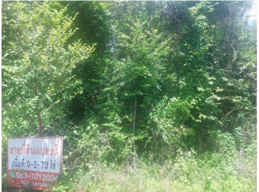 ที่ดินเปล่า อุบลราชธานี เดชอุดม ป่าโมง 477925