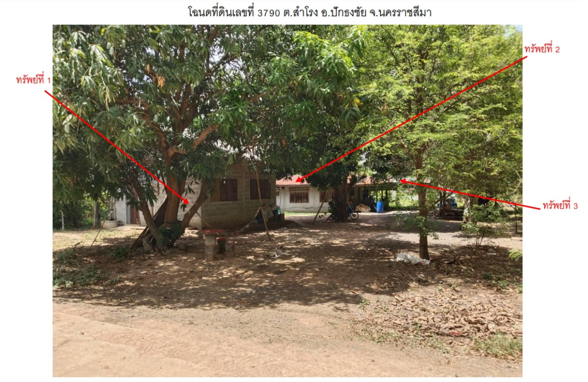 บ้านเดี่ยว นครราชสีมา ปักธงชัย สำโรง 1028400