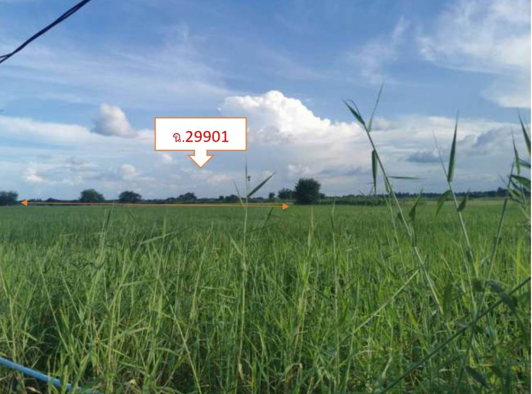 ที่ดินเปล่า นครราชสีมา สูงเนิน เสมา 341700