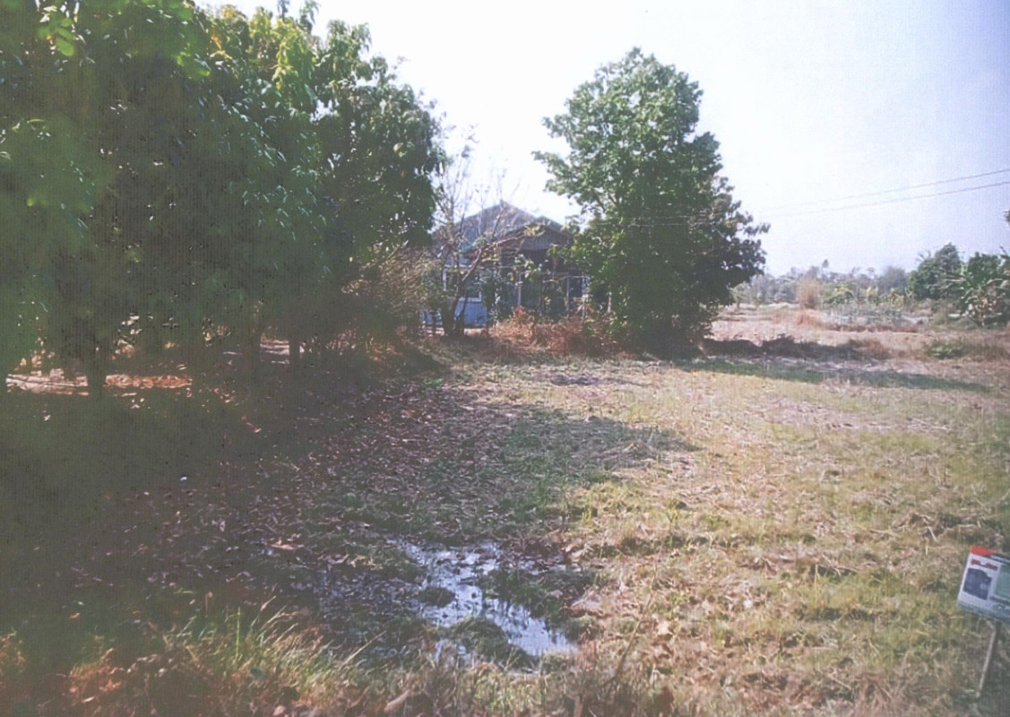 บ้านเดี่ยว อุบลราชธานี พิบูลมังสาหาร กุดชมภู 923220