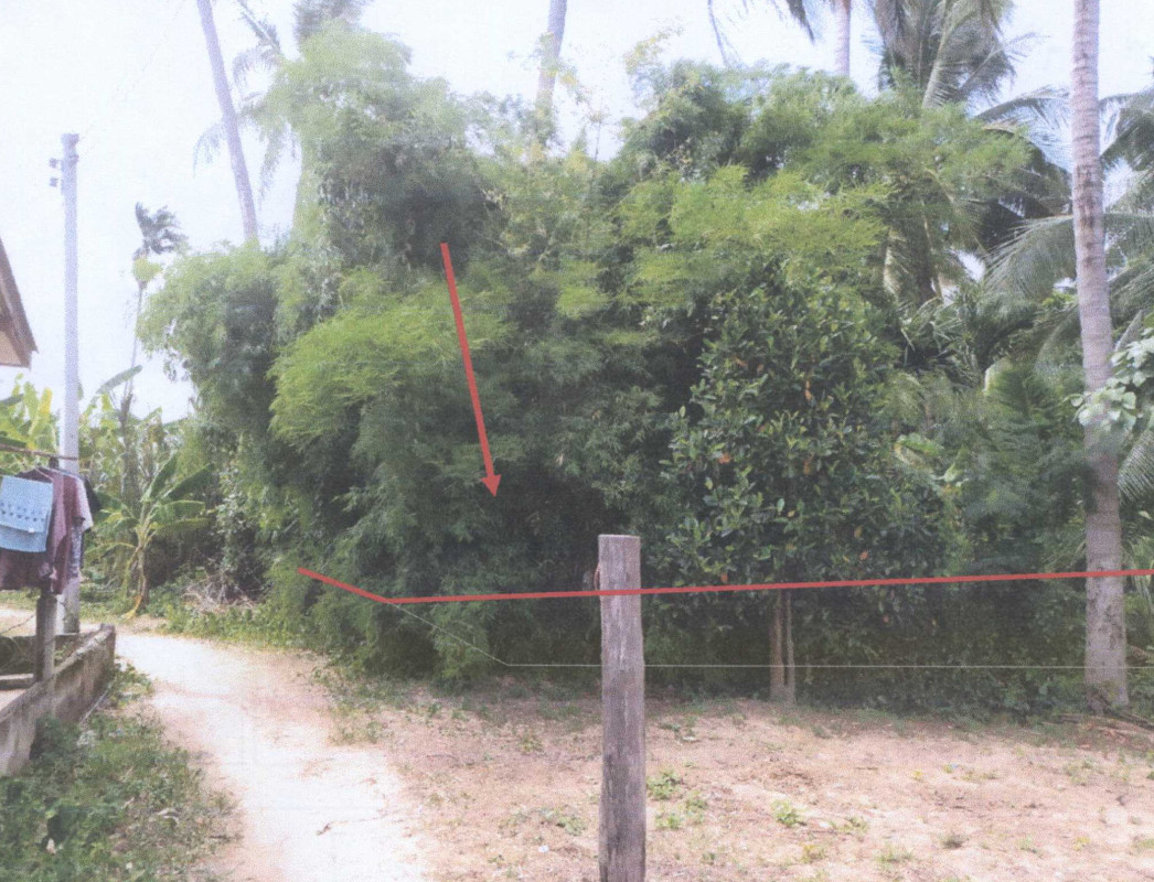 ที่ดินเปล่า นครราชสีมา สีคิ้ว ลาดบัวขาว 516000