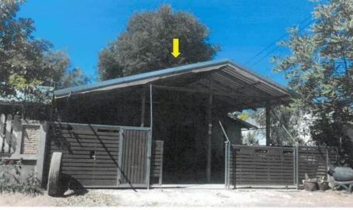 บ้านเดี่ยว กาฬสินธุ์ เมืองกาฬสินธุ์ กลางหมื่น 312000