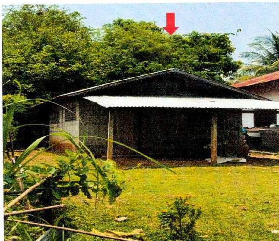 บ้านเดี่ยว หนองคาย เมืองหนองคาย พระธาตุบังพวน 367020