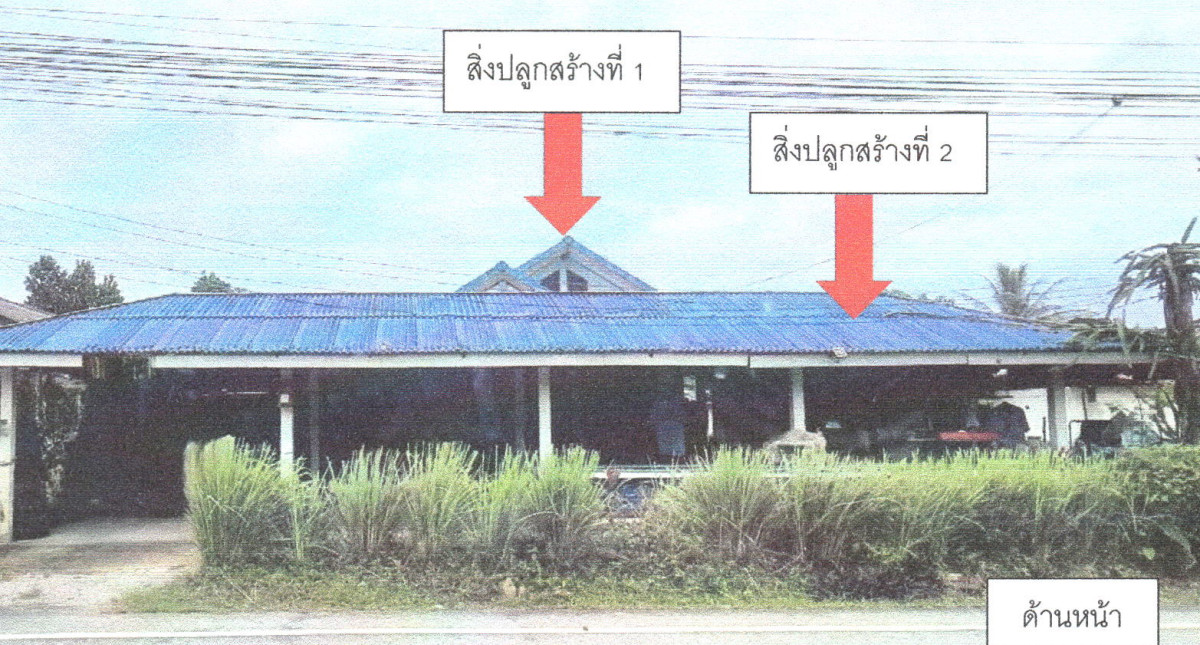 บ้านเดี่ยว สงขลา เทพา วังใหญ่ 888225