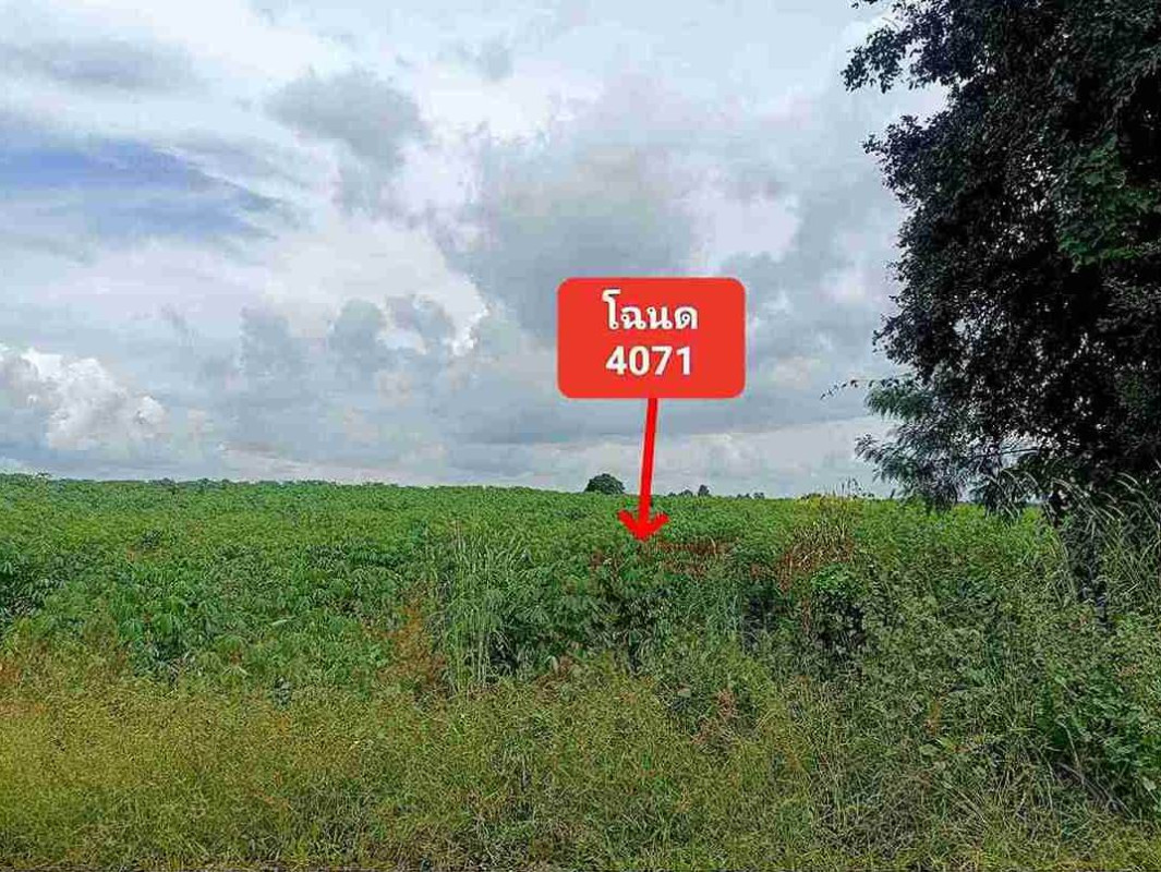 ที่ดินเปล่า นครราชสีมา เทพารักษ์ สำนักตะคร้อ 341510