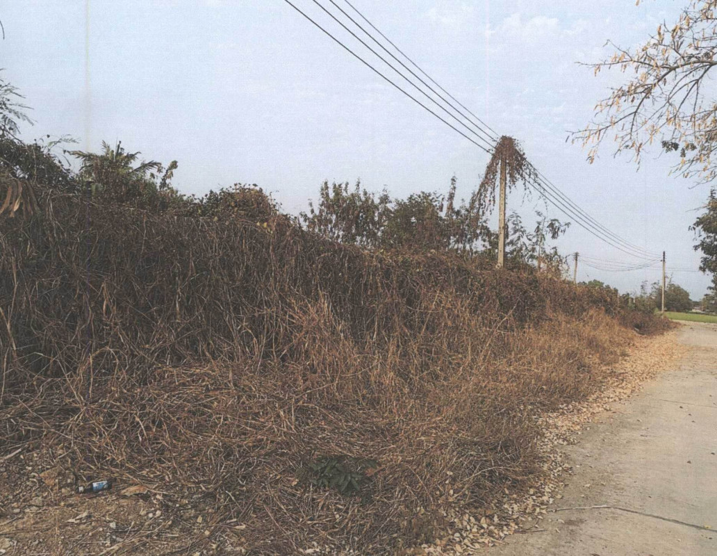 ที่ดินเปล่า อุตรดิตถ์ พิชัย พญาแมน 90000