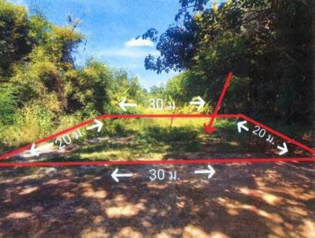 ที่ดินเปล่า อุบลราชธานี เดชอุดม สมสะอาด 9064