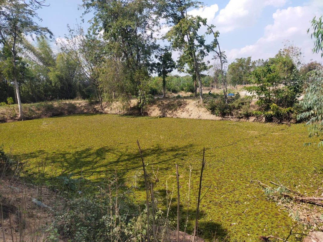 ที่ดินเปล่า ราชบุรี จอมบึง รางบัว 1850000