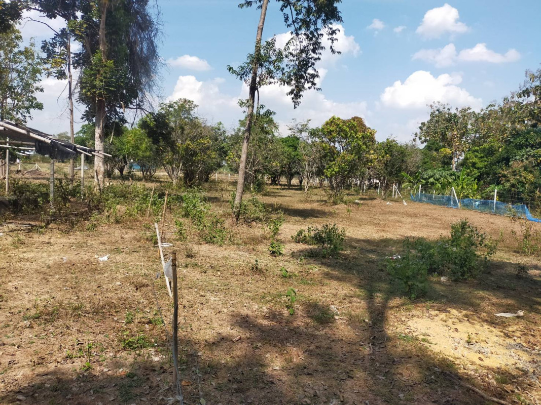ที่ดินเปล่า ราชบุรี จอมบึง รางบัว 1850000